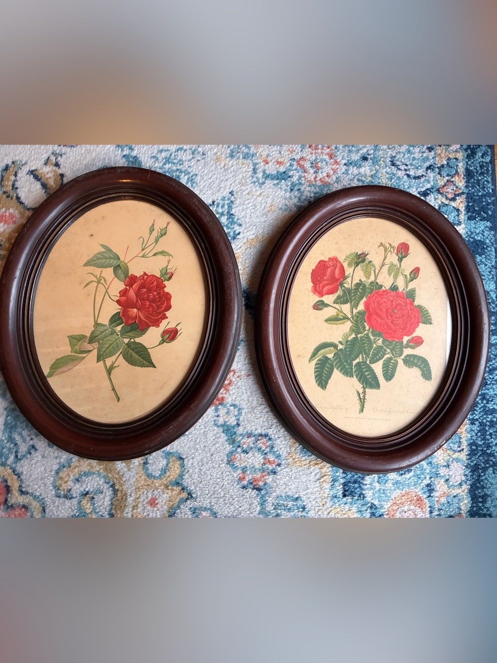 Vintage Oval Wood Wall Frames & Rose Botanical Prints (16x13 inches)